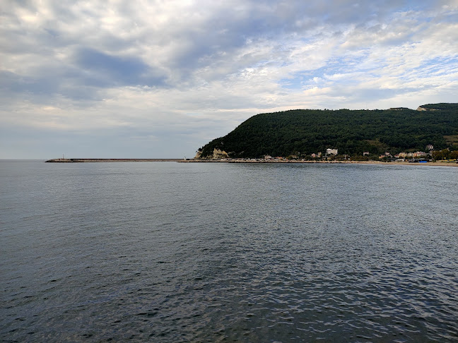 Nasuh, Murat Yenigün Cd. No:6, 37600 Cide/Kastamonu, Türkiye