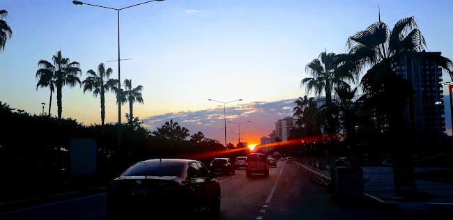 Cafe 85 Burger - Gastronomi ve konaklama