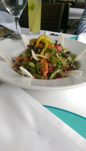 Mavi Balık - Gastronomi ve konaklama