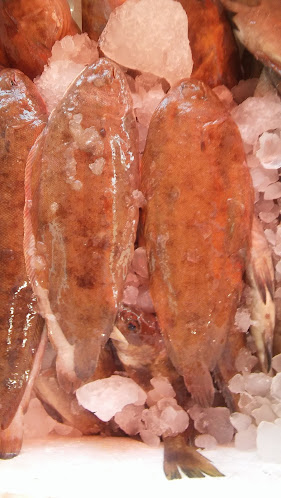 105, Karaağaç Konarlı, Eyüp Sultan Cd., 31230 Arsuz/Hatay