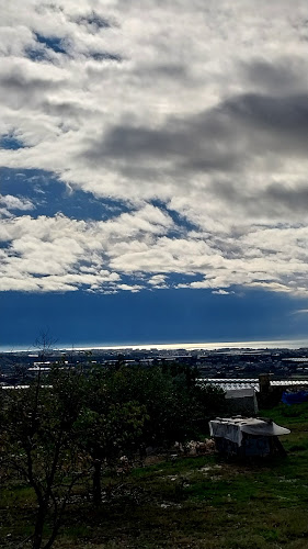 Comentarii opinii despre Yörükler Obası At Çiftliği Restoran