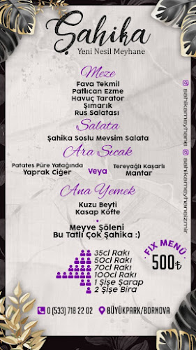 Şahika Yeni Nesil Meyhane