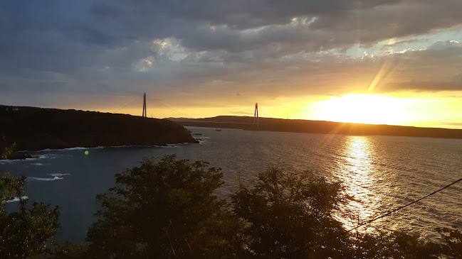 Comentarii opinii despre Alesta Anadolu Feneri