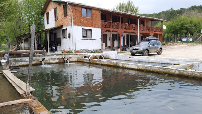 Kemaliye Yıldırım Alabalık Tesisleri - Gastronomi ve konaklama