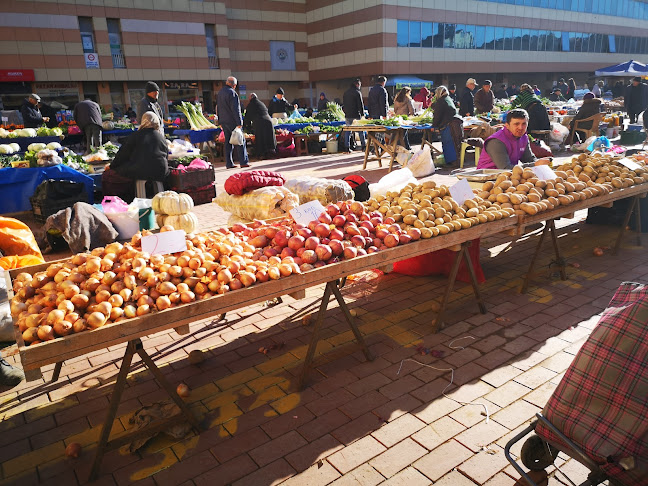 Yukarı Zaferiye, Pilot Sk. No:77, 22800 Keşan/Edirne