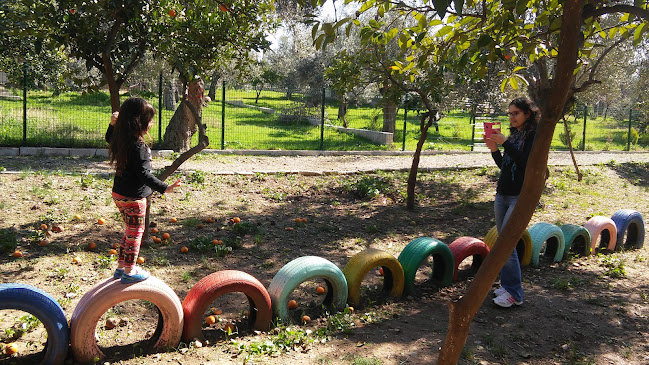 Bahçe survivor çocuk oyun alanları - Edremit