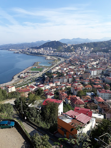 Uğur Böcüğü Pide - Giresun Merkez