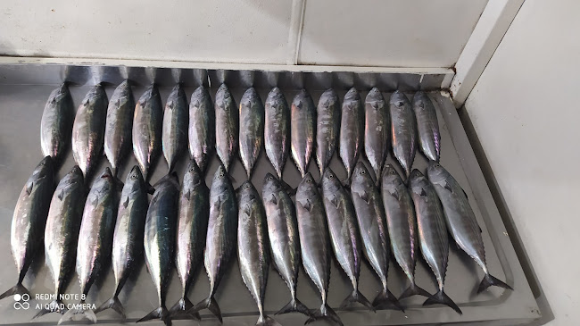 Mehmet Gencin Yeri Restoran, Kamp Alanı - Vize