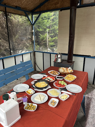 Şilma Alabalık - Gastronomi ve konaklama