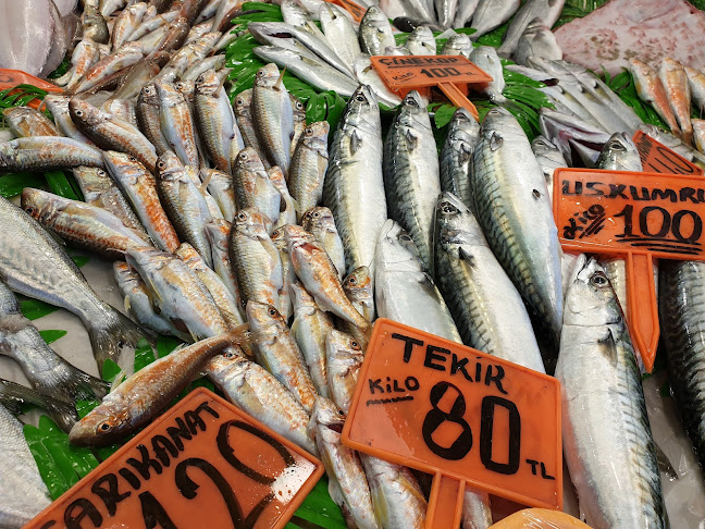 Yeşilköy BIZIM BALIKÇI RESTAURANT