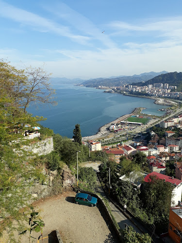 Uğur Böcüğü Pide