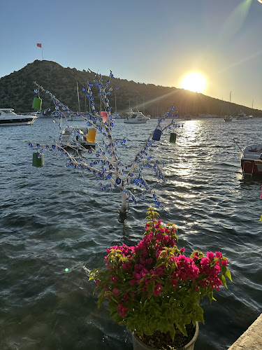 Comentarii opinii despre Karafaki Erhan Usta Gümüşlük Balık Restoranı