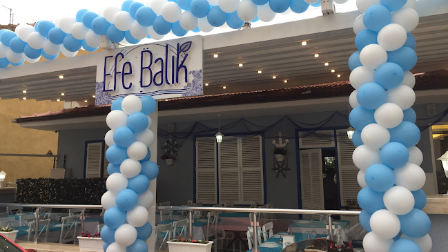 Efe Balık - Mudanya