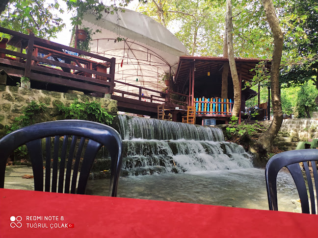 Kuş kahvaltı bahçesi restaurant piknik yeri - Gastronomi ve konaklama