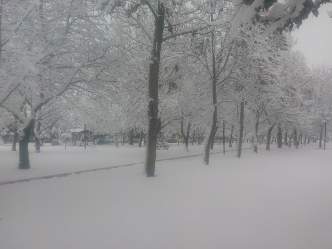 Çiftöl Pide Ve Lahmacun - Gastronomi ve konaklama