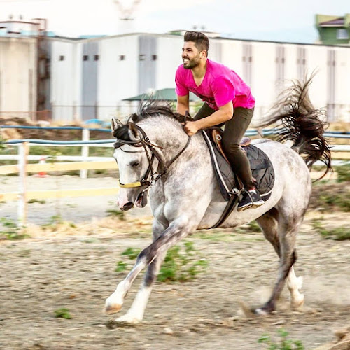 Comentarii opinii despre Akvaryum Cafe ve Binicilik Eğitim Merkezi