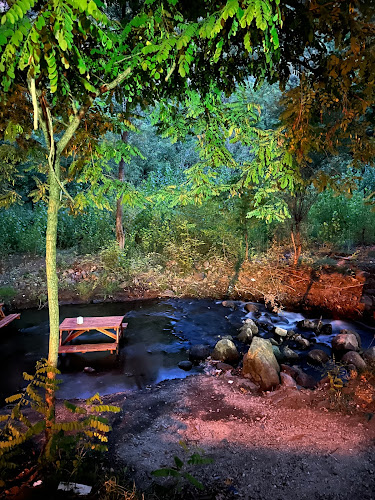 Yayla Yolu Kenarı Gülbayır Sapağı, 60600 Niksar/Tokat