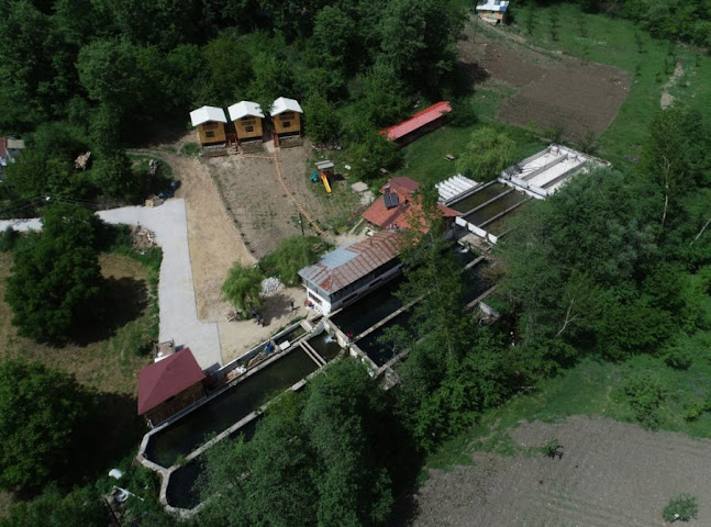 Pehlevan Alabalık ve Konaklama Tesisi - Keles