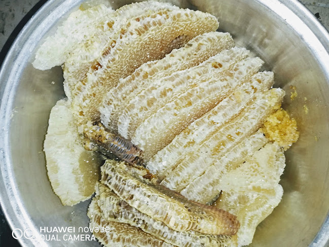 Comentarii opinii despre Akbulut balcı