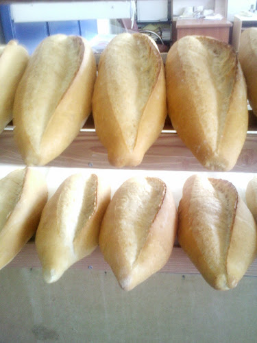 Datça, Burgaz Yolu No:28, 48900 Datça/Muğla