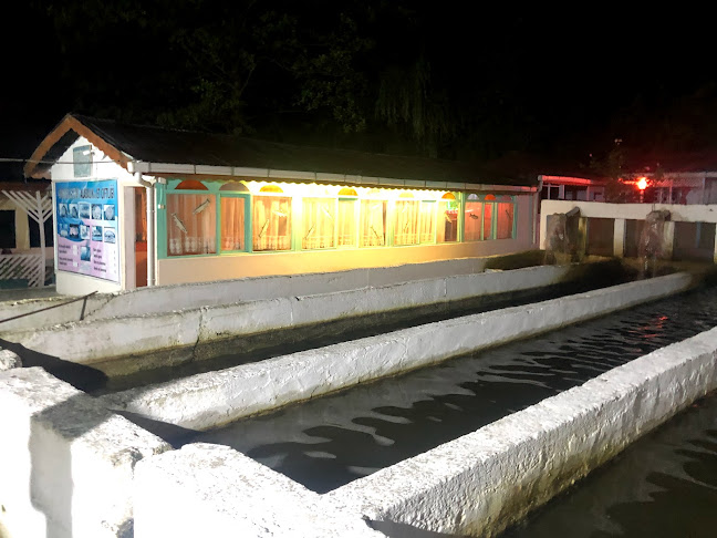 Comentarii opinii despre Gökküşağı Balık