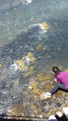 Opinii despre Evin Kebap în Muradiye - Gastronomi ve konaklama