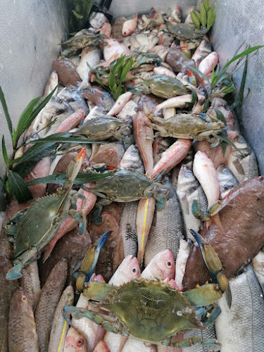 Opinii despre ORFOZ BALIKÇILIK în Antakya - Gastronomi ve konaklama