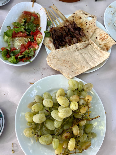 Tanir Çöpşiş - Germencik