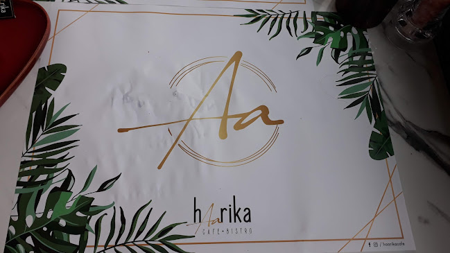 Comentarii opinii despre Harika Cafe