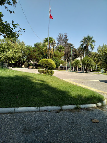 sevgi döner antakya