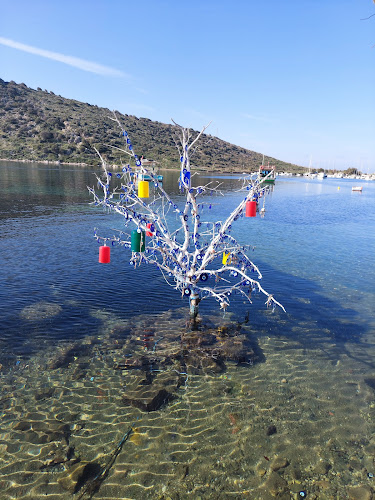 Gümüşlük Yalı Mevkii, No:68, 48970 Bodrum/Muğla