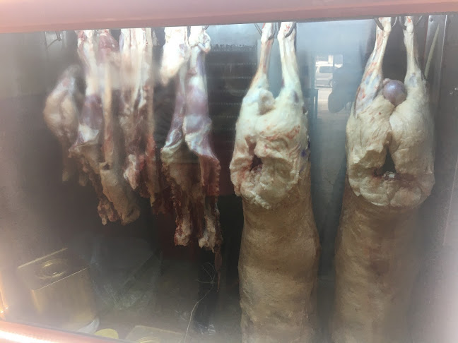 İsmet Paşa, Trabzon Blv. No:26, 46100 Kahramanmaraş Merkez/Dulkadiroğlu/Kahramanmaraş