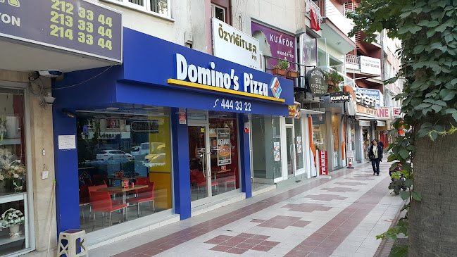 Domino's Pizza Aydın