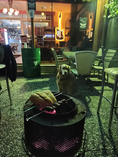 Comentarii opinii despre Blackbird