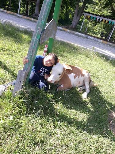 Bozhane, Boğaziçi Cd. No:17, 34829 Beykoz/İstanbul