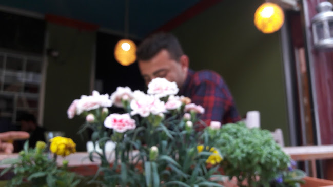 Comentarii opinii despre Sarya Kafe