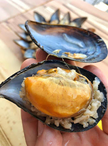 Demirkaya Midye Dolma - Gastronomi ve konaklama