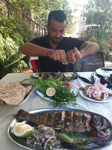 Comentarii opinii despre Kumru Restaurant