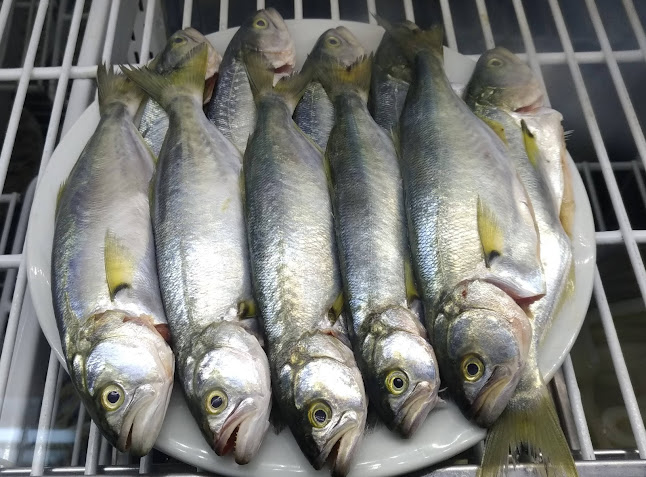 Opinii despre Balıkçı Alper în İstanbul - Gastronomi ve konaklama