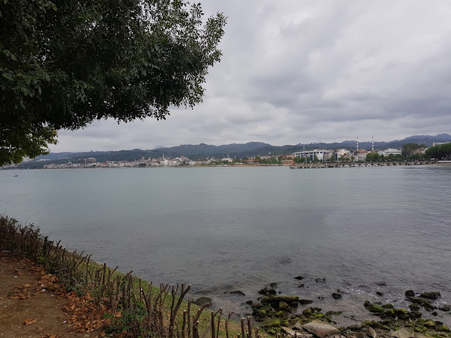 Opinii despre 100. Yıl Dondurma în Ünye - Gastronomi ve konaklama