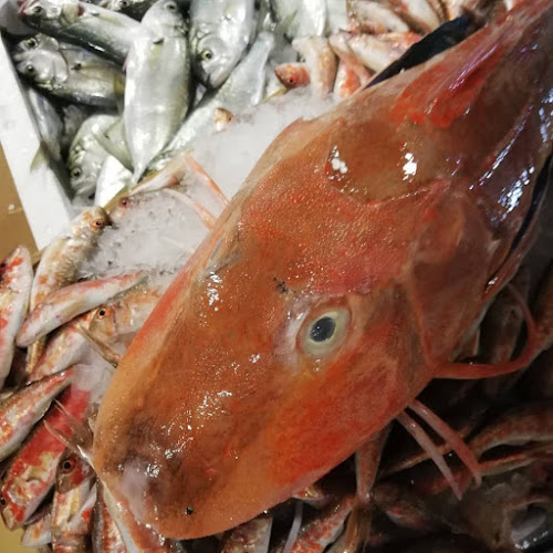 Opinii despre FLORYA BALIK KEYFİ în Küçükçekmece - Gastronomi ve konaklama