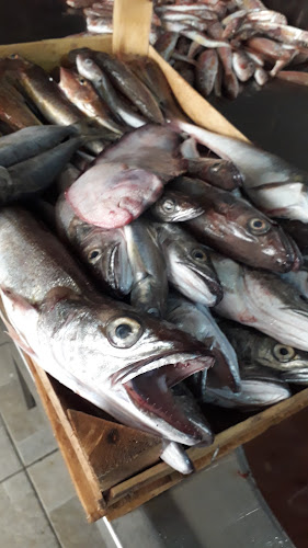 100. Yıl, Makina Sk. No:1, 59100 Süleymanpaşa/Tekirdağ