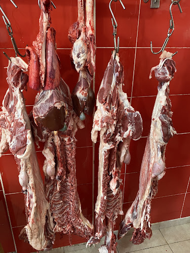 Özkul çolak cad 21 Payas, 31900 Dörtyol/Hatay