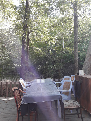 Opinii despre Niksar Kavlağanlık Alabalık Tesisi în Niksar - Gastronomi ve konaklama