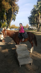 Dörtyol Atatürk Evi Ve At Çiftliği
