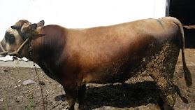 Kervan Saray Et Mangal