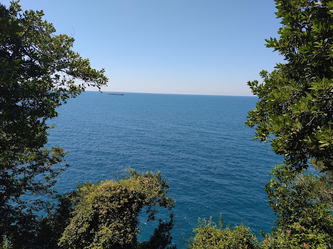 Zonguldak Tabip Odası Lokali - Gastronomi ve konaklama