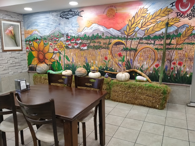 Tekirdağ balıkçı Turgutreisbalık/Alkolsüz