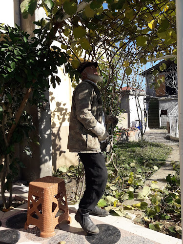 Ağasar Vakfıkebir Ekmek - Karasu