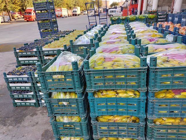 Hamidiye, 70100 Karaman Merkez/Karaman